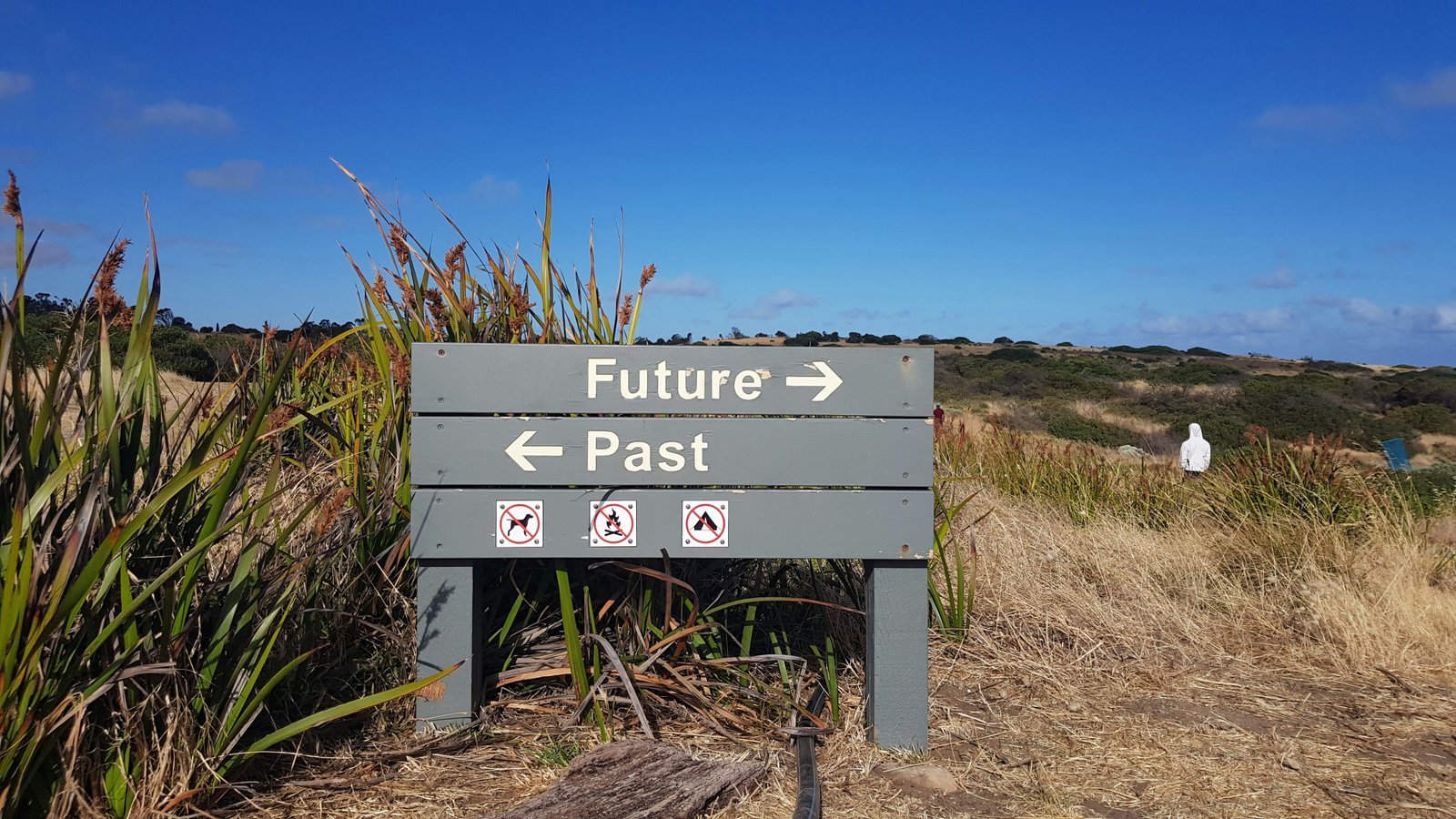 What Should Management Accounting Look Like in 2026?